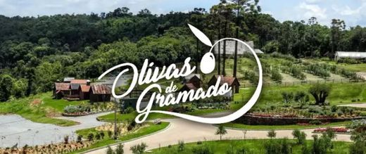 Parque Olivas de Gramado 