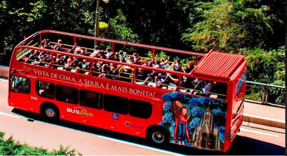 Social  BUSTOUR