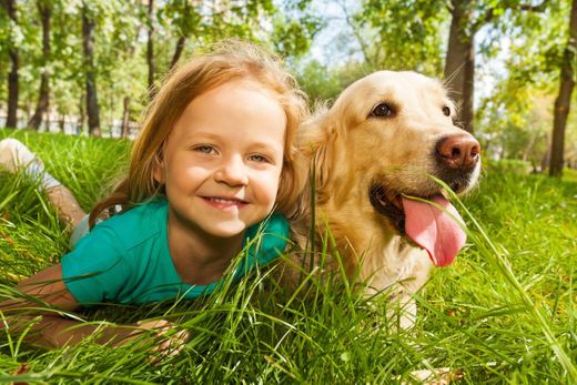 Raças de cães mais indicadas para conviver com crianças