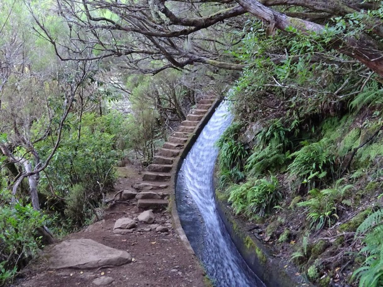 Lugar PR6 Levada das 25 Fontes / Levada do Risco