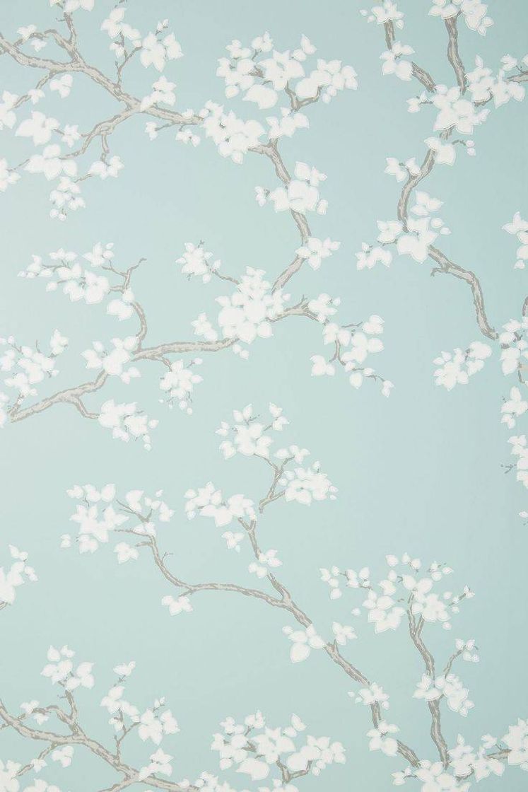 Social Wallpaper 