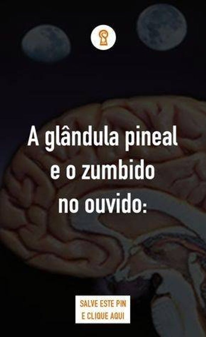 Moda Pineal Gland🧠💫