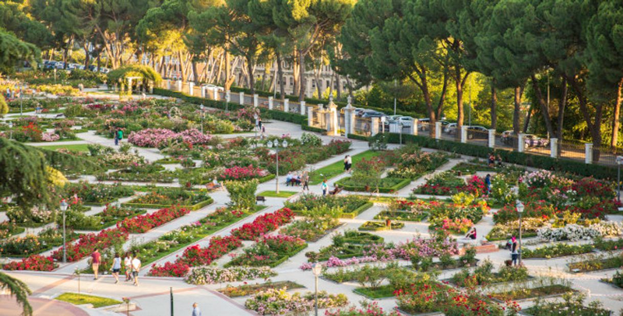 Lugares Rosaleda del Parque del Oeste