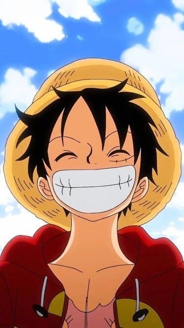 Fashion Luffy 