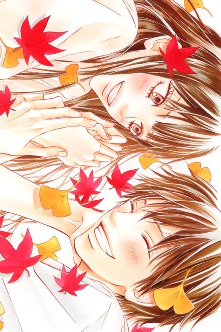 Moda Kimi ni todoke 