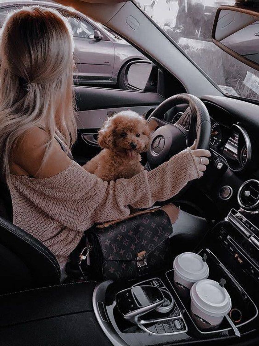 Fashion 💖🐶🚘