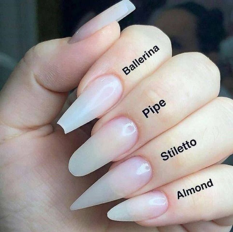 Moda Tipos 💅