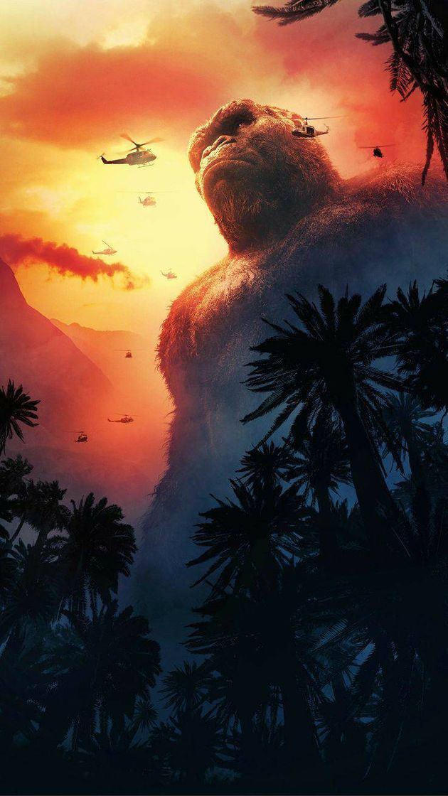 Social King kong 