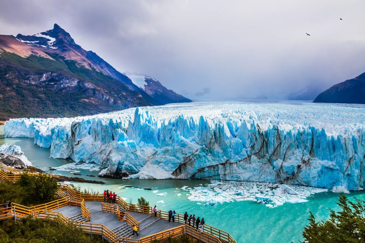 Lugar Parque Nacional Patagonia