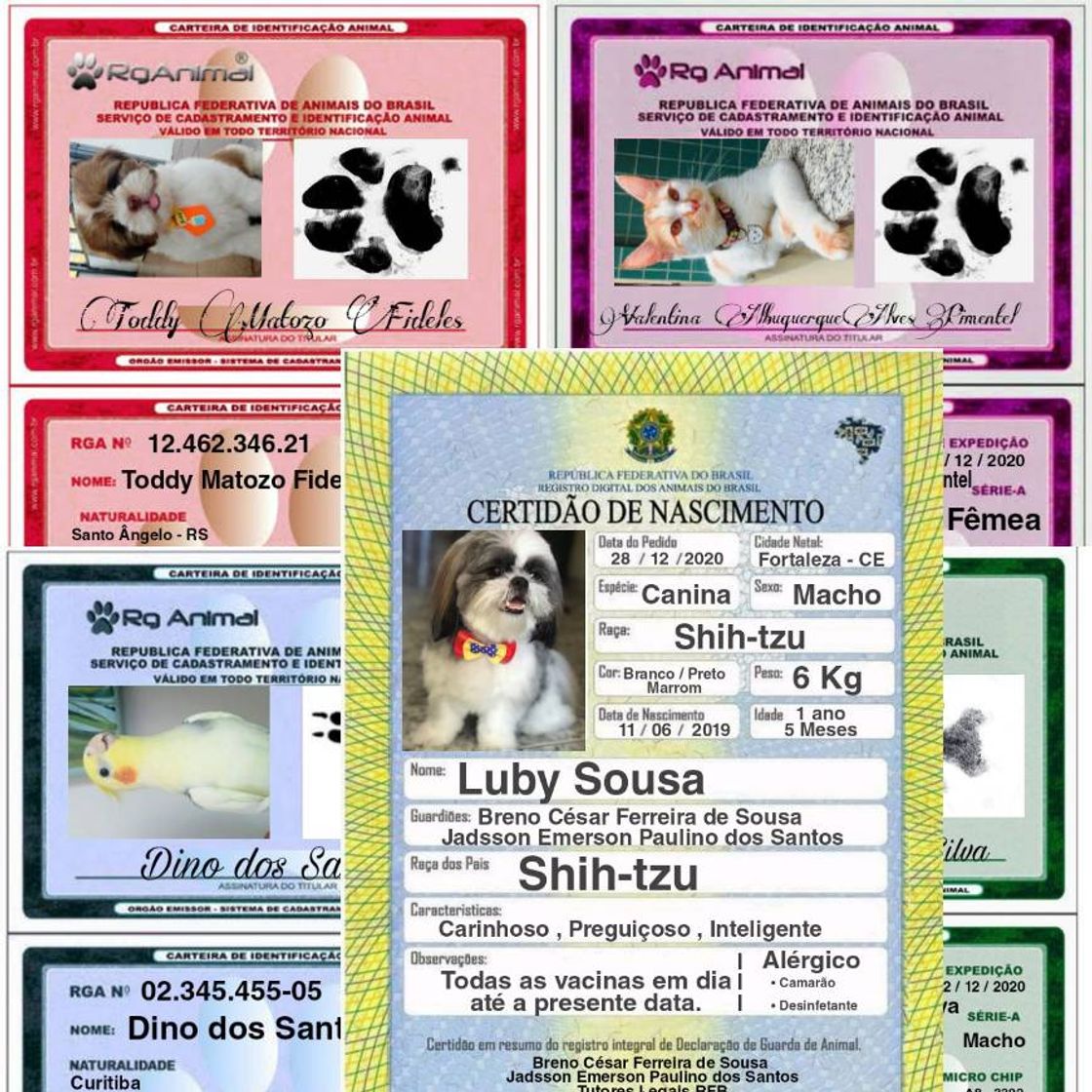 Social REGISTRO GERAL ANIMAL