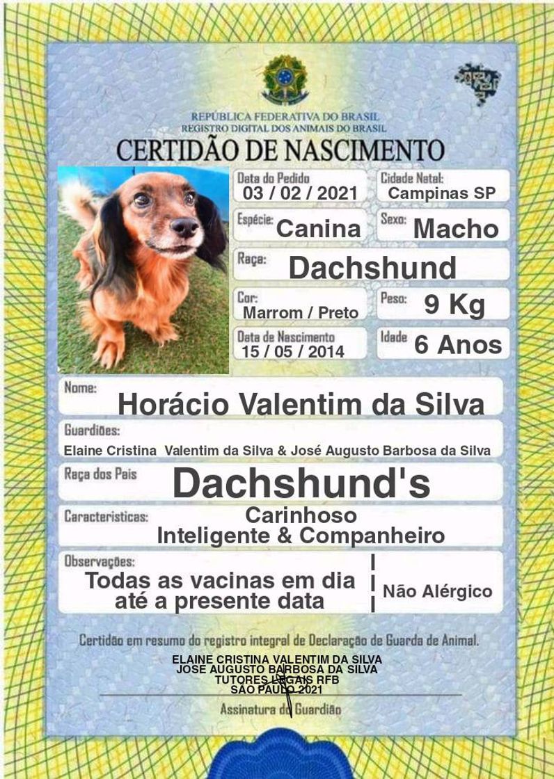 Social DOCUMENTOS PARA PET