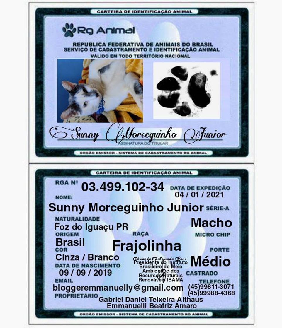 Social Registro Geral Animal