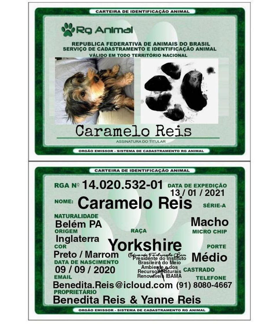 Social DOCUMENTOS PARA PET
