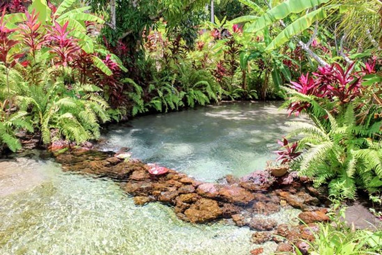 Restaurants Shui Brasil