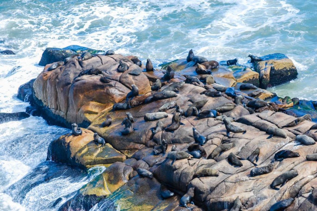 Lugares Cabo Polonio