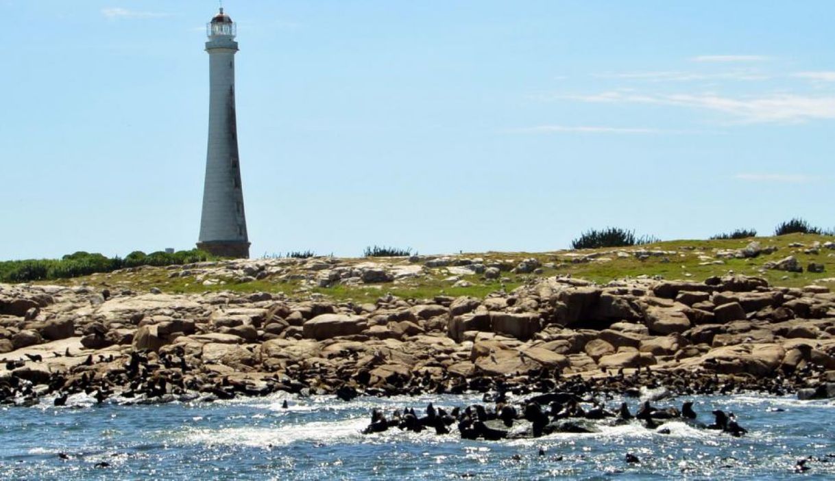 Lugar Isla de Lobos