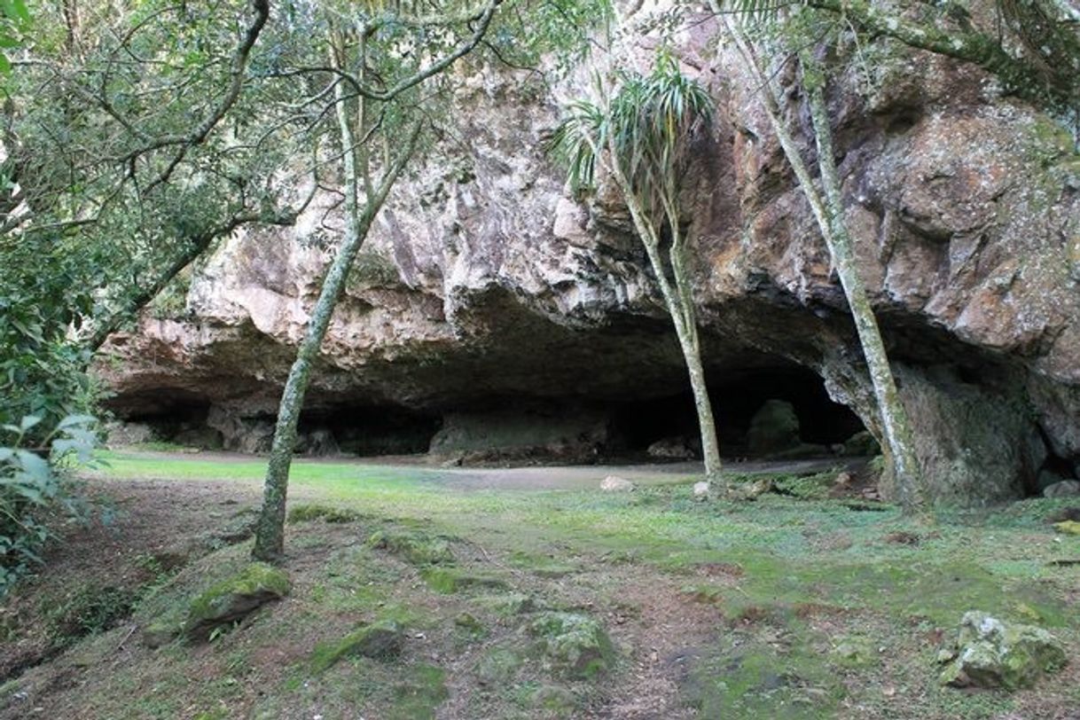 Lugares Parque Municipal Grutas De Salamanca