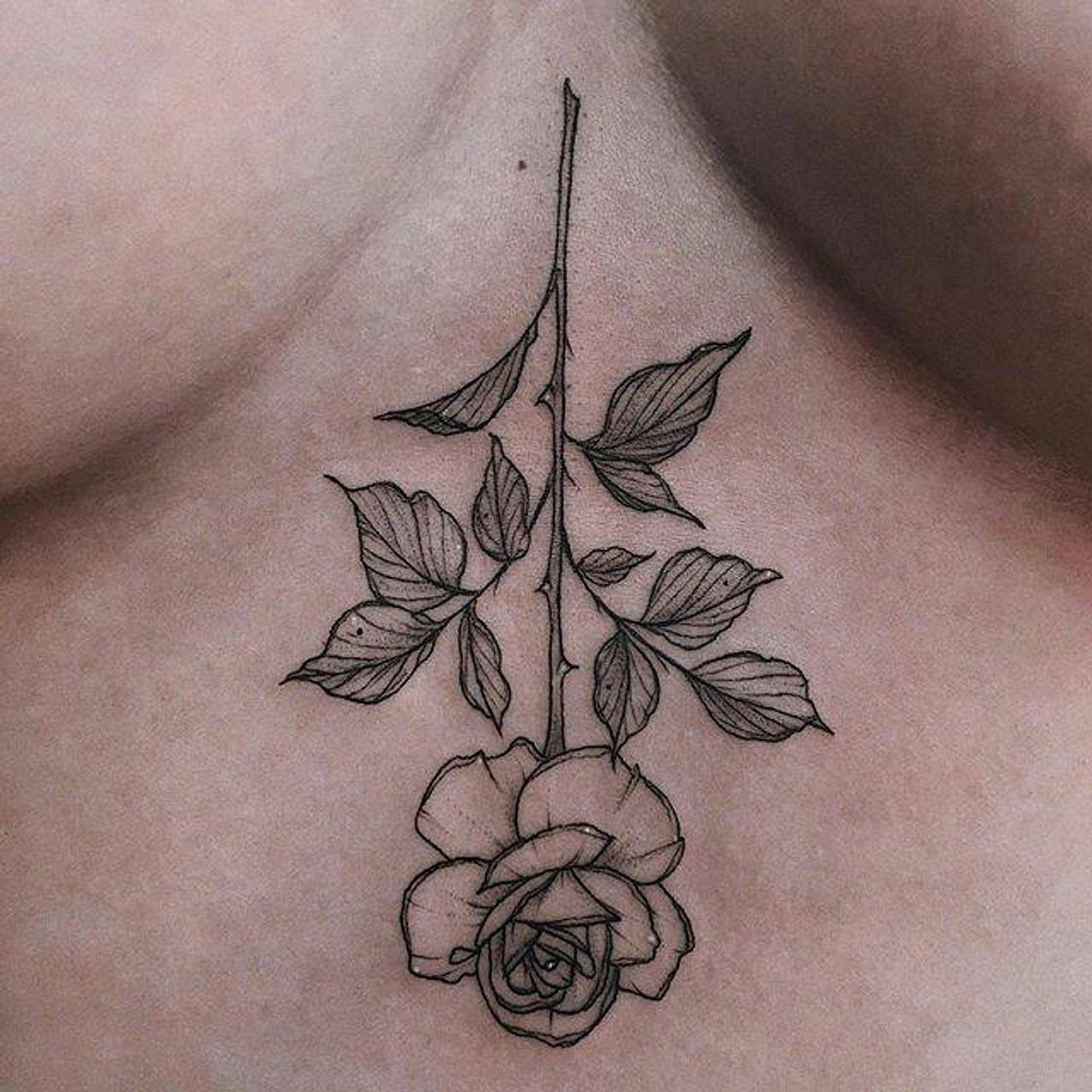 Fashion Tatuagem rosa inspiração feminina 