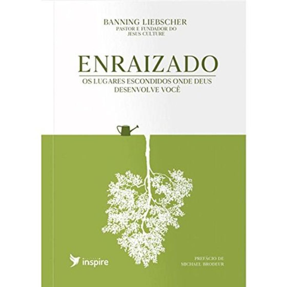 Libro Enraizado