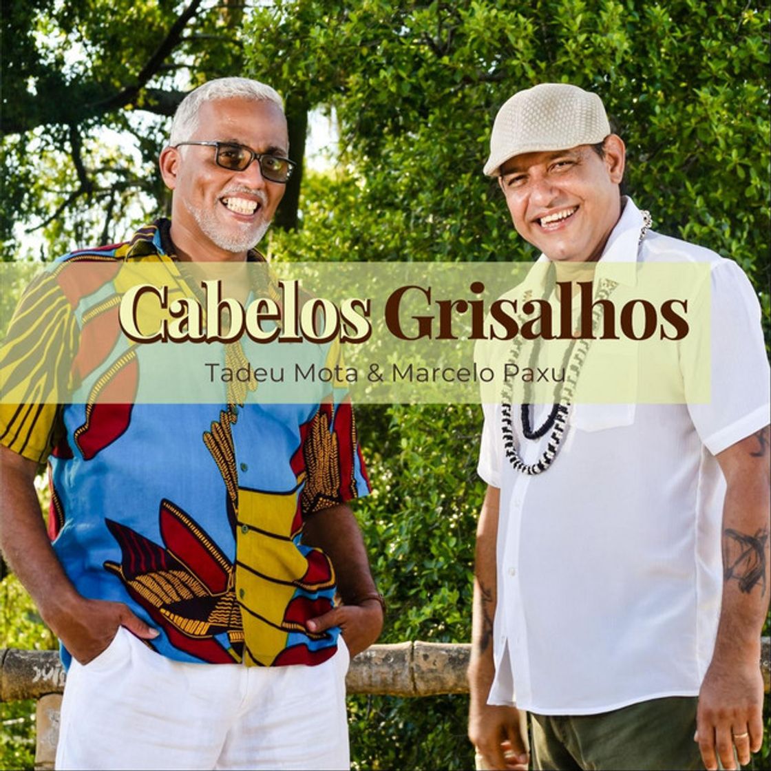 Canción Cabelos Grisalhos