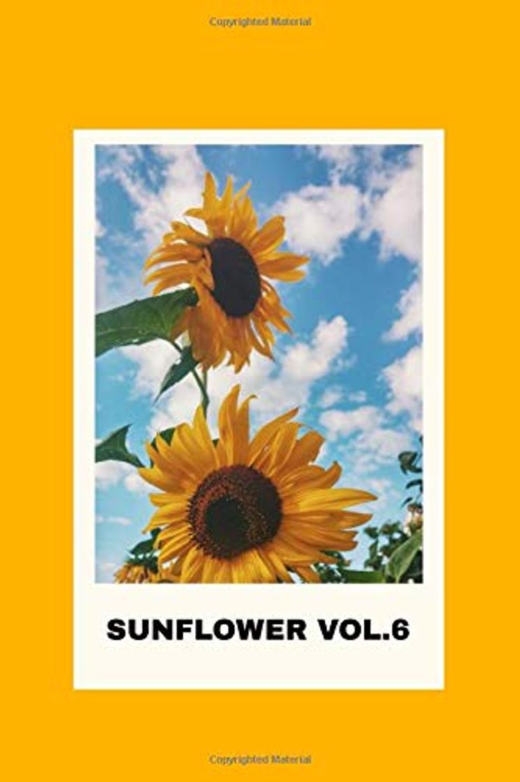 Music Sunflower, Vol. 6