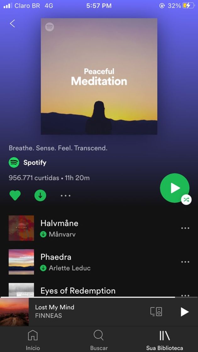 Moda playlist para meditation 