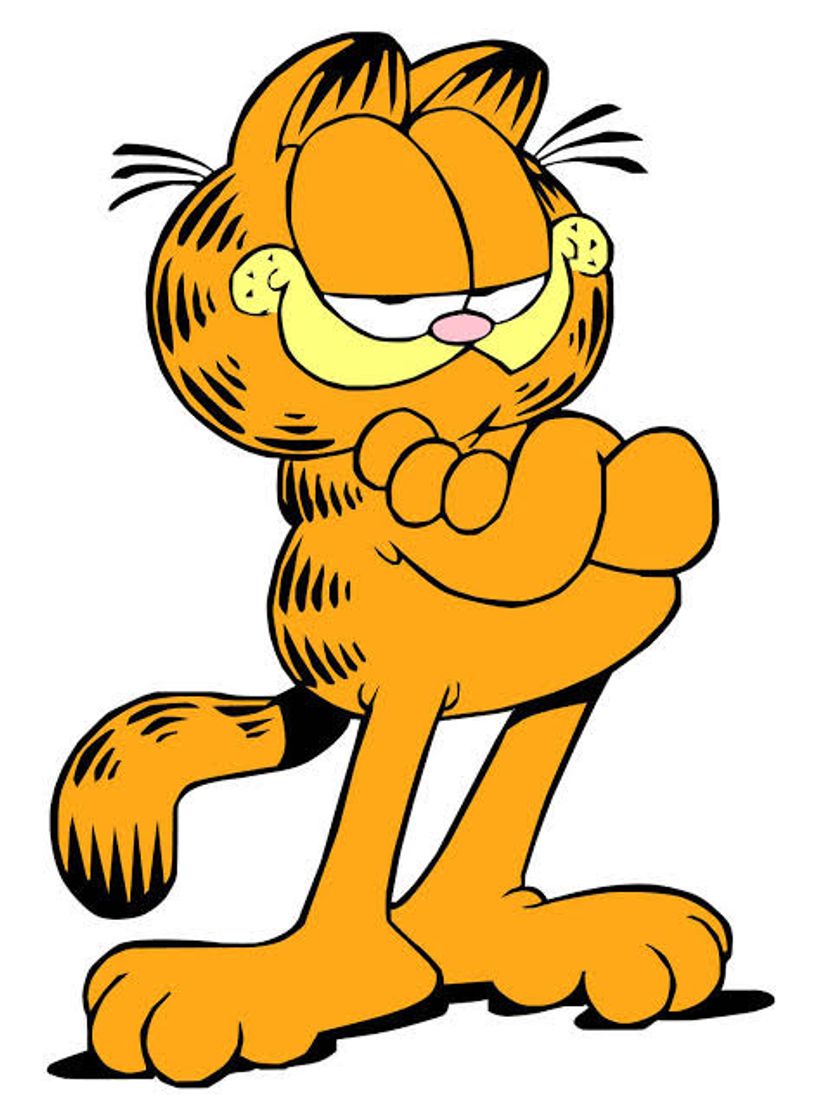 Moda Garfield