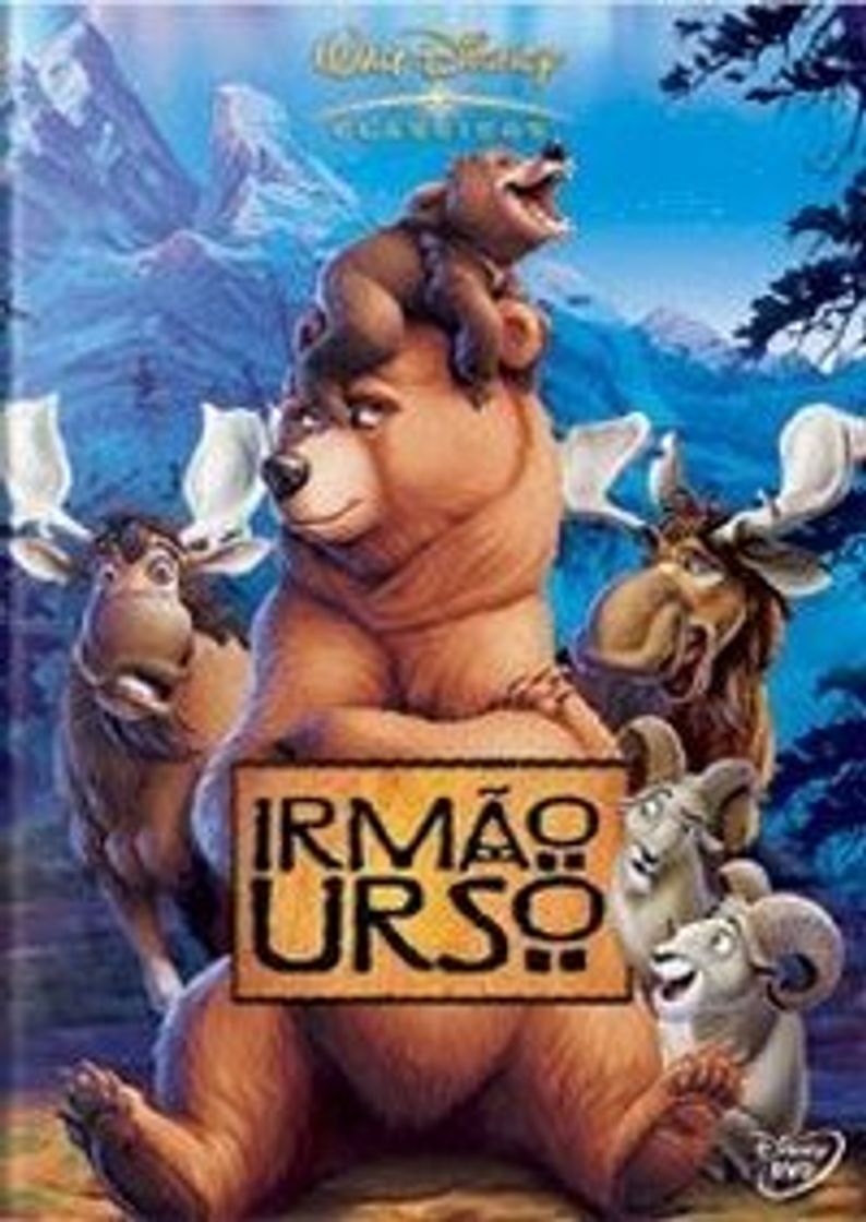 Película Irmão Urso