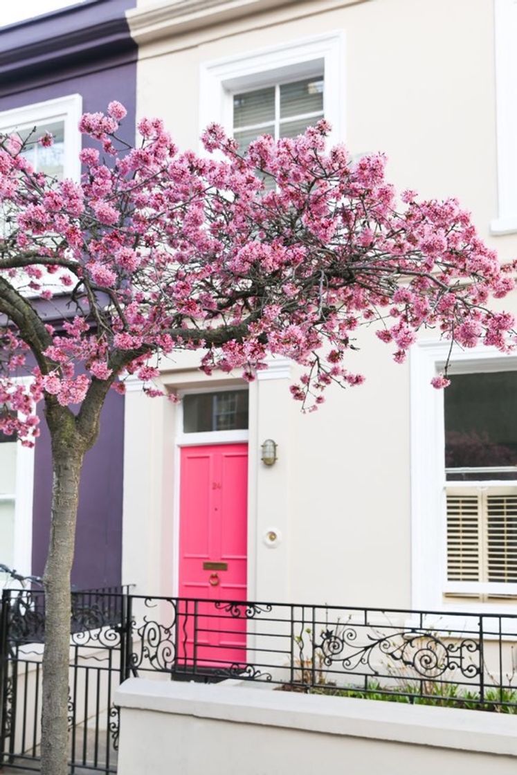 Moda Casa charmosa com apenas um detalhe em rosa