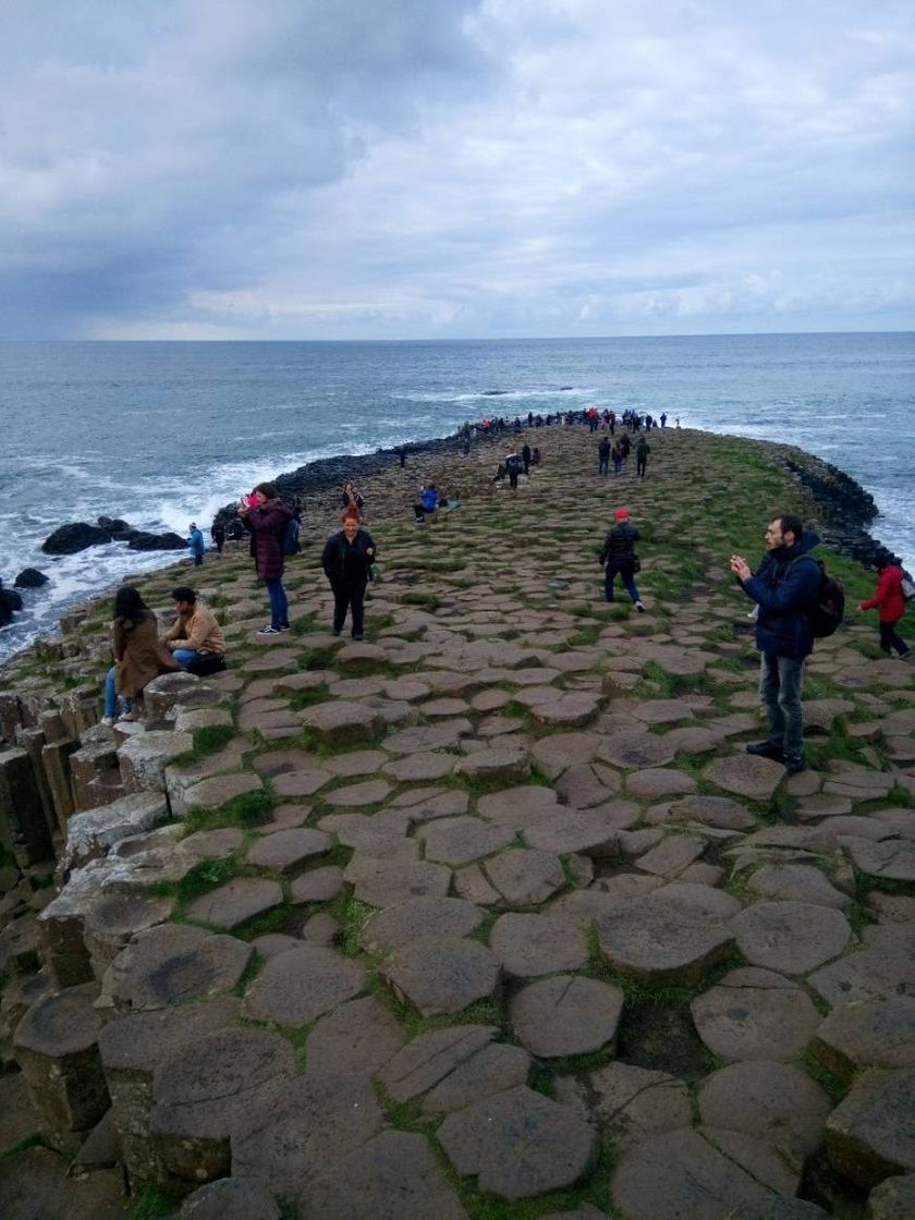 Place Giants Causeway