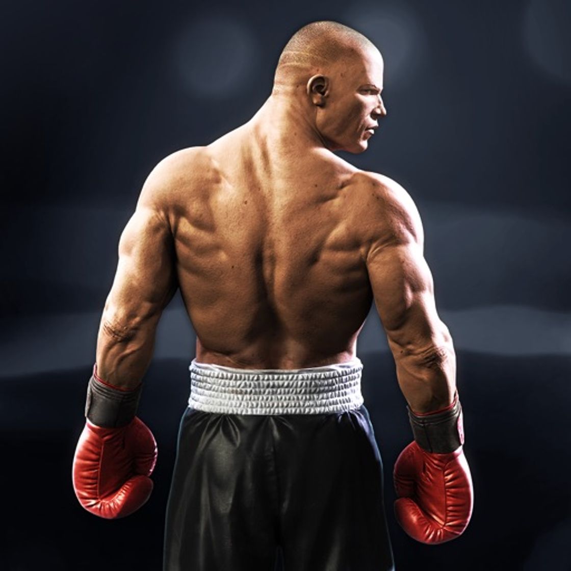 Apps Real Boxing 2