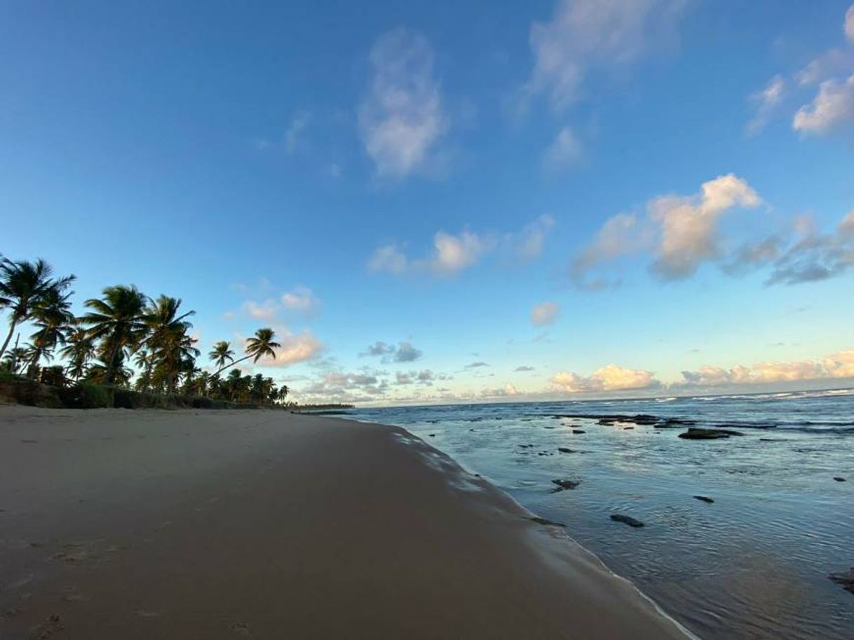 Lugar Praia do Forte