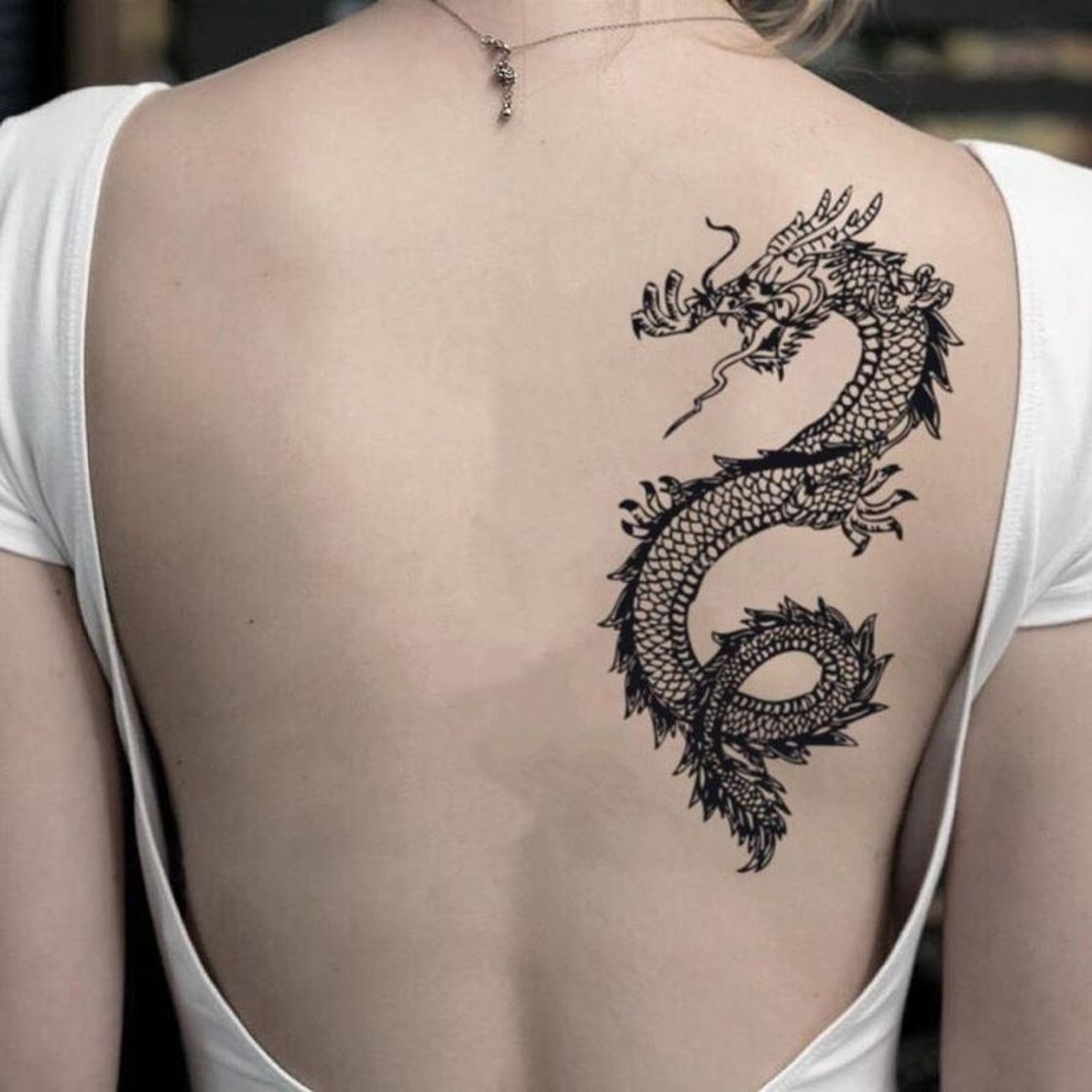 Moda Tattoo Dragão Costas Pequena 🐲🤟🏽