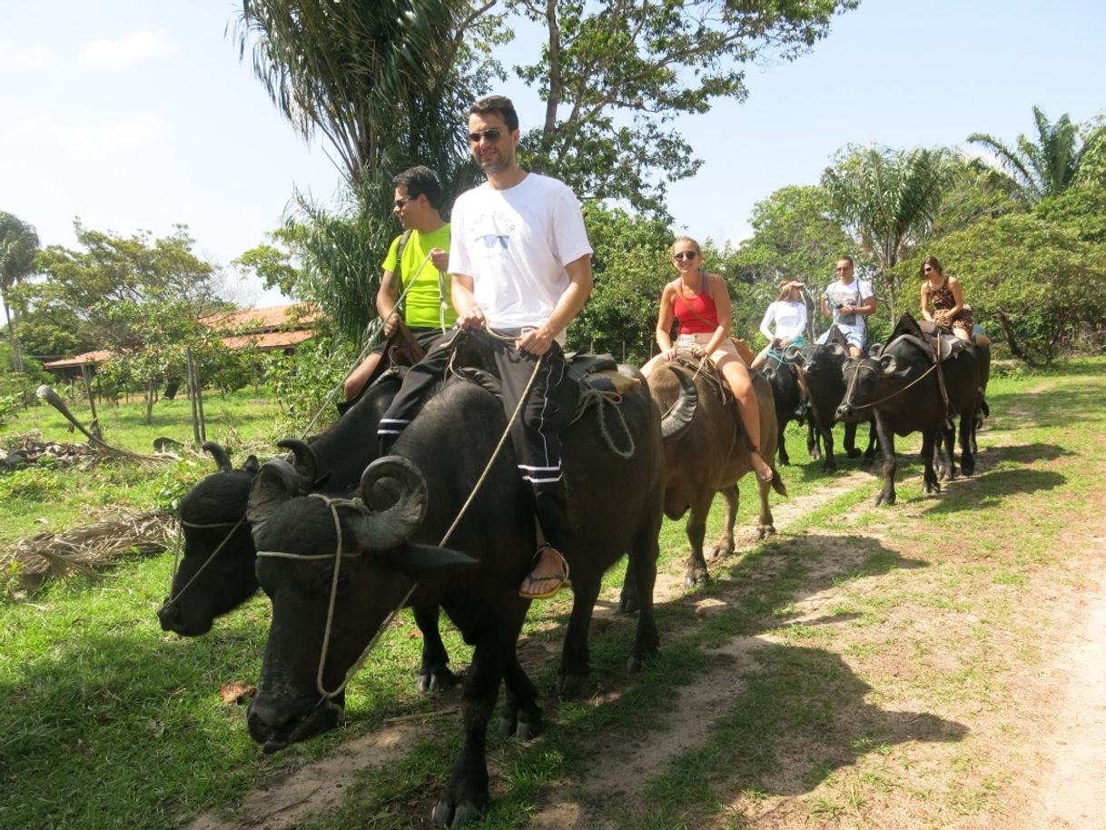 Place Fazenda São Jerônimo