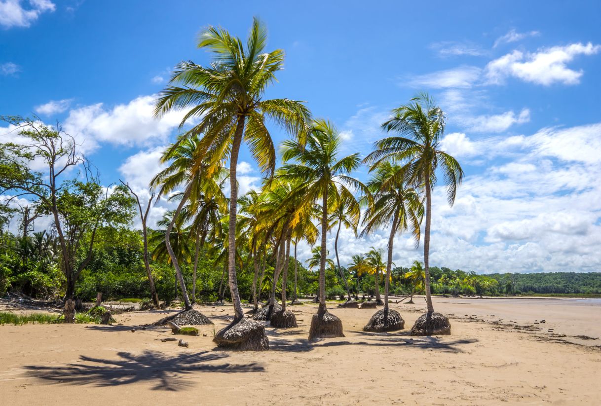 Place Praia do Caju-una