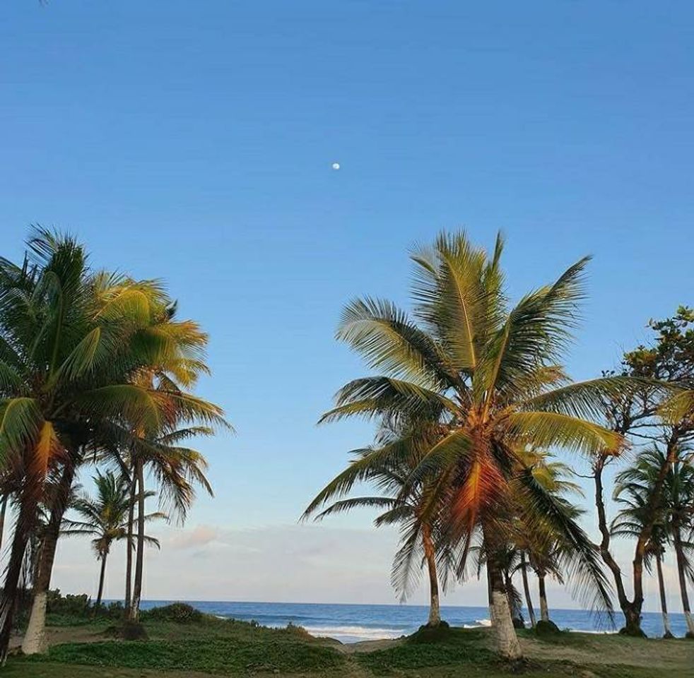 Place Praia do Flamengo