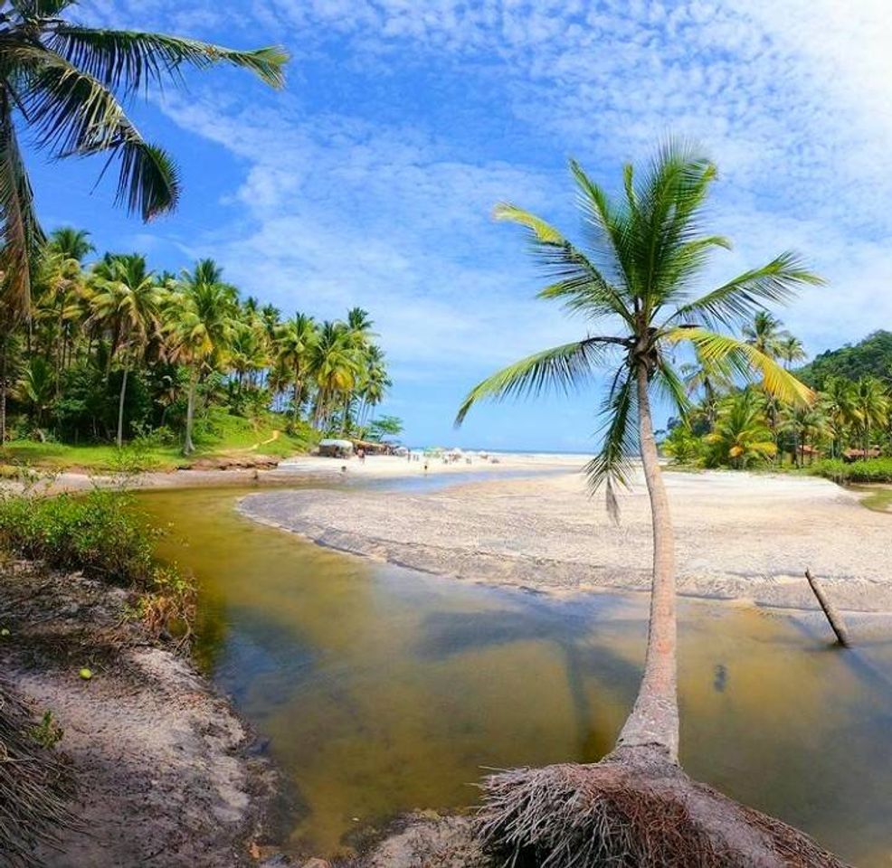 Place Praia de Jeribucaçu