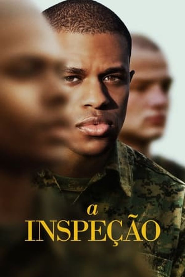 Película La inspección