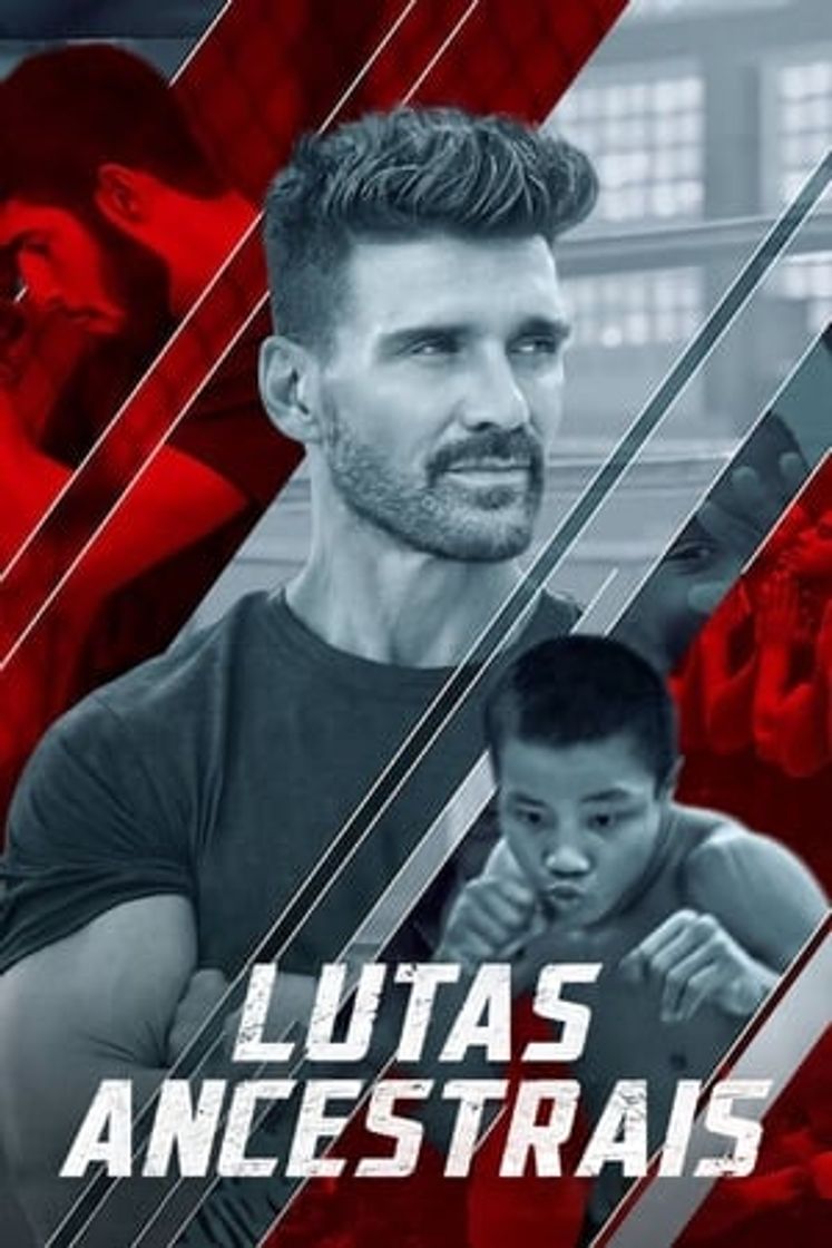 Serie Fightworld