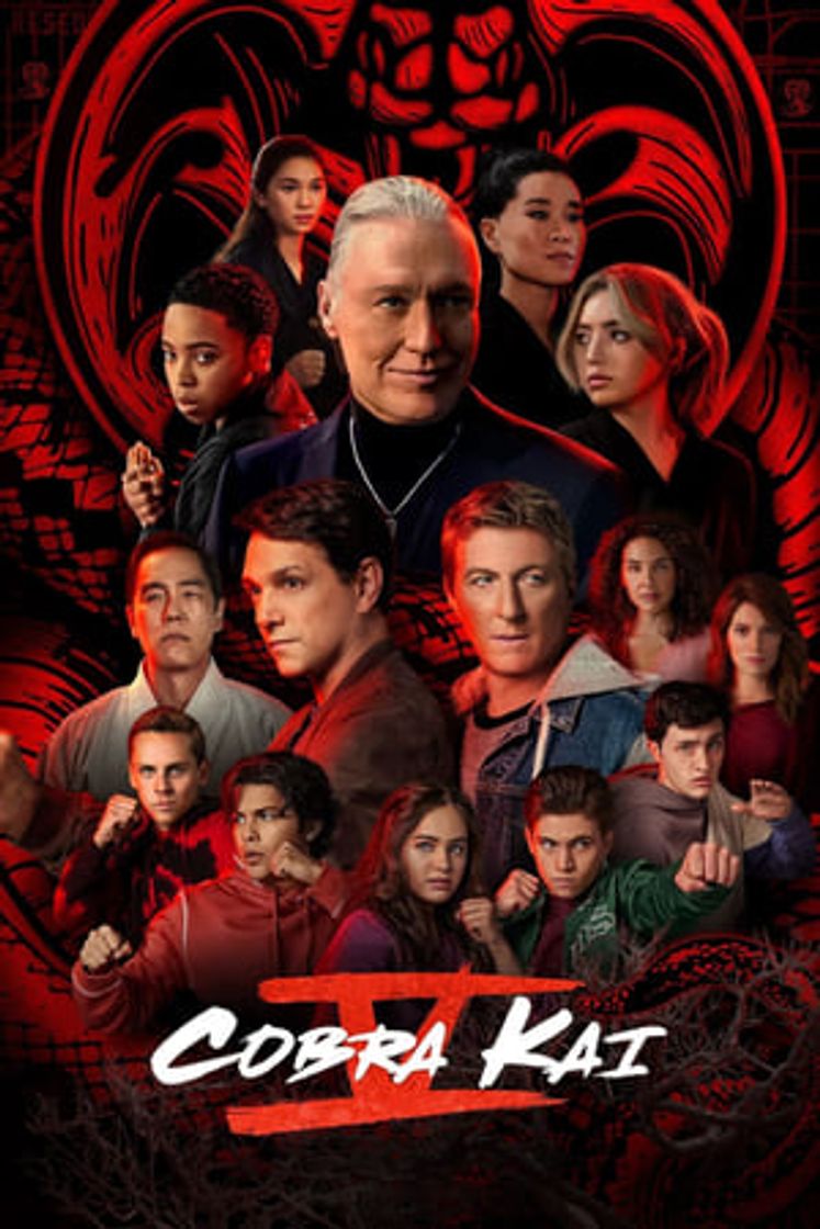 Serie Cobra Kai