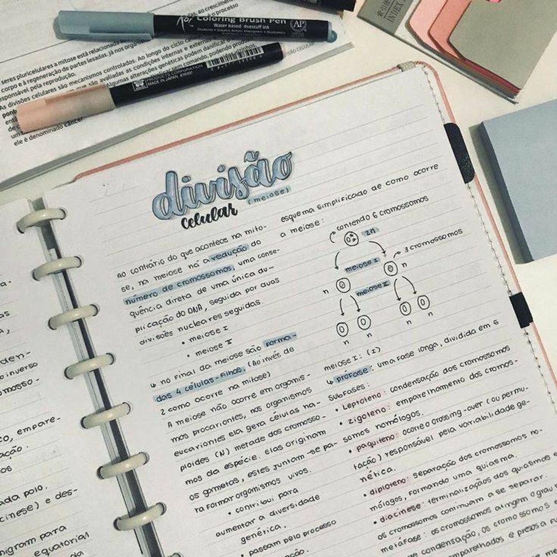 Social caderno organizado