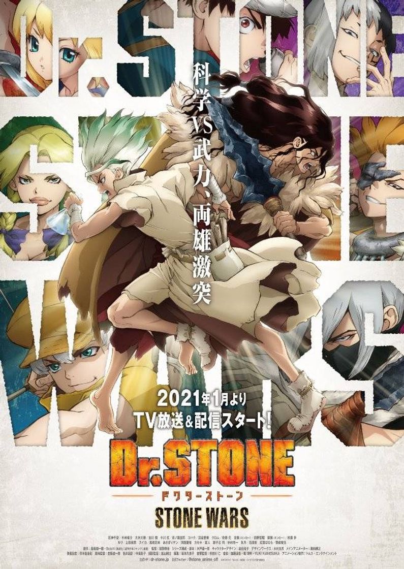 Moda Dr. Stone 