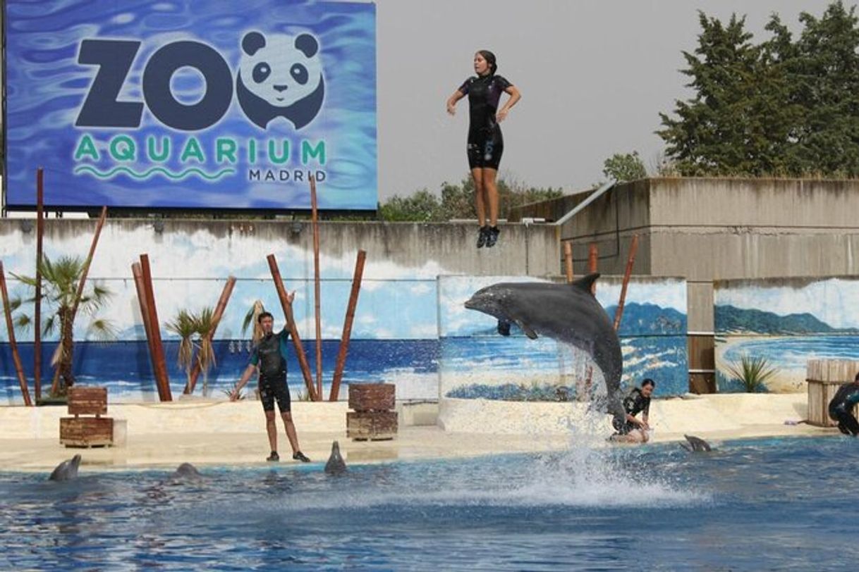 Place Zoo Aquarium de Madrid