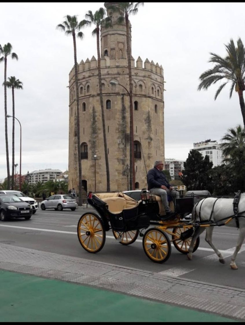 Fashion Torre del Oro