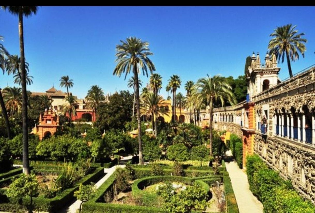 Place Real Alcázar de Sevilla