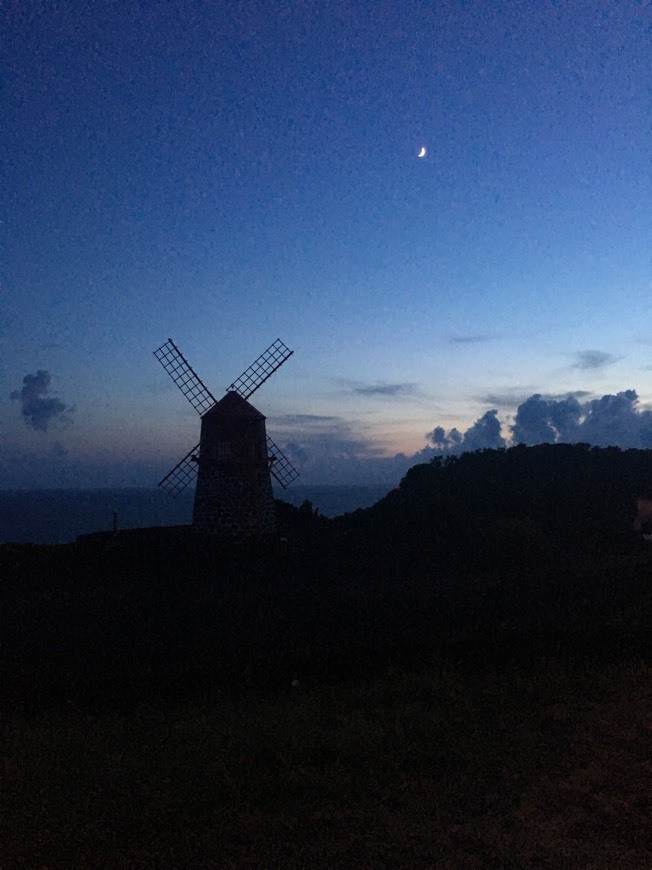 Lugar Ilha do Pico