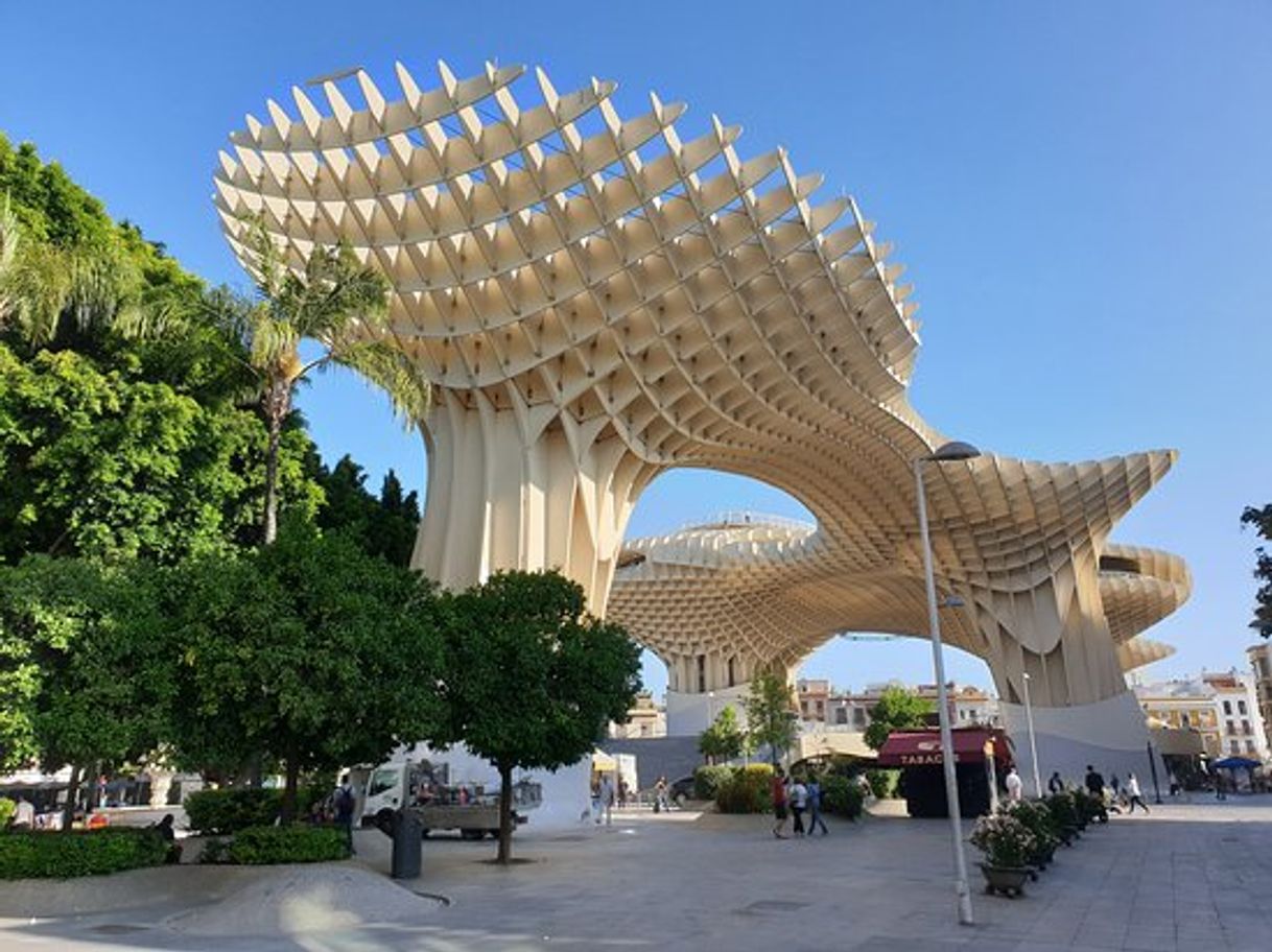 Place Setas de Sevilla