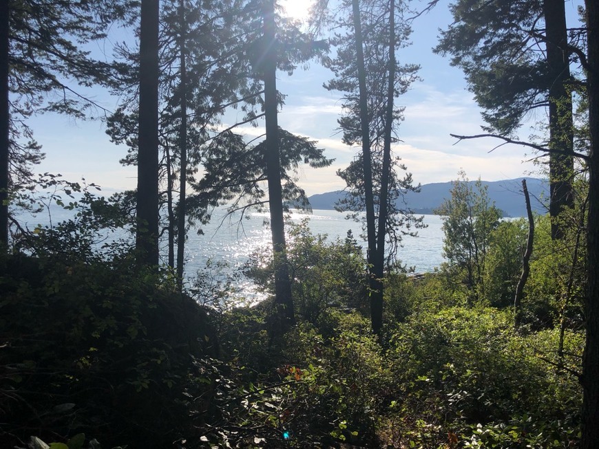 Places Lighthouse Park | West Vancouver