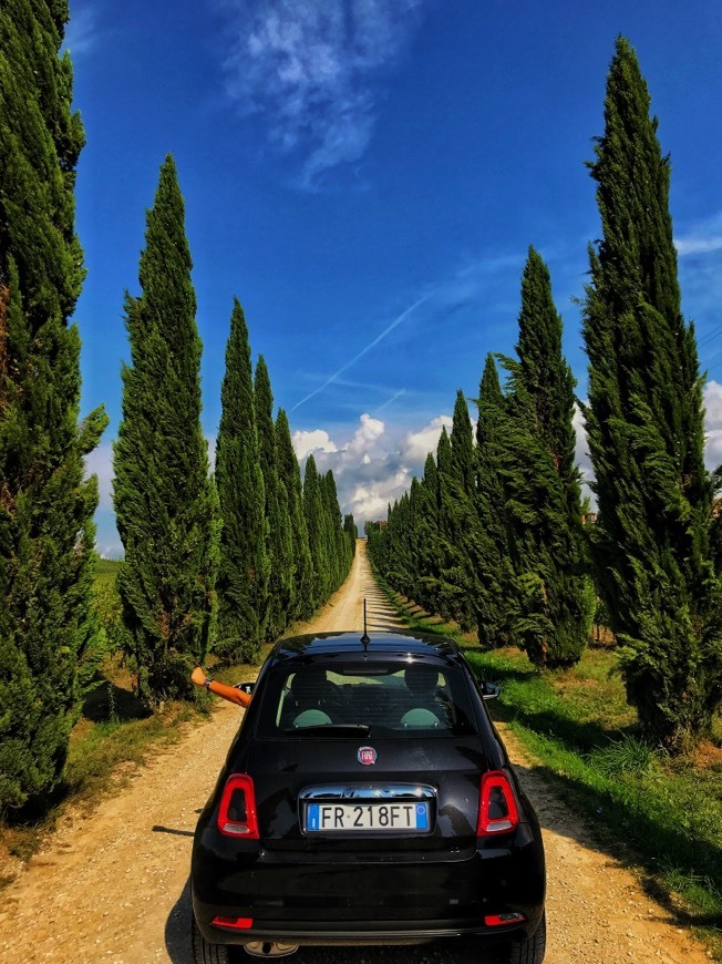 In Chianti