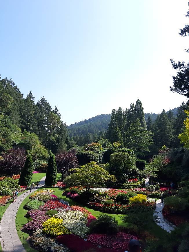 Place Butchart Gardens